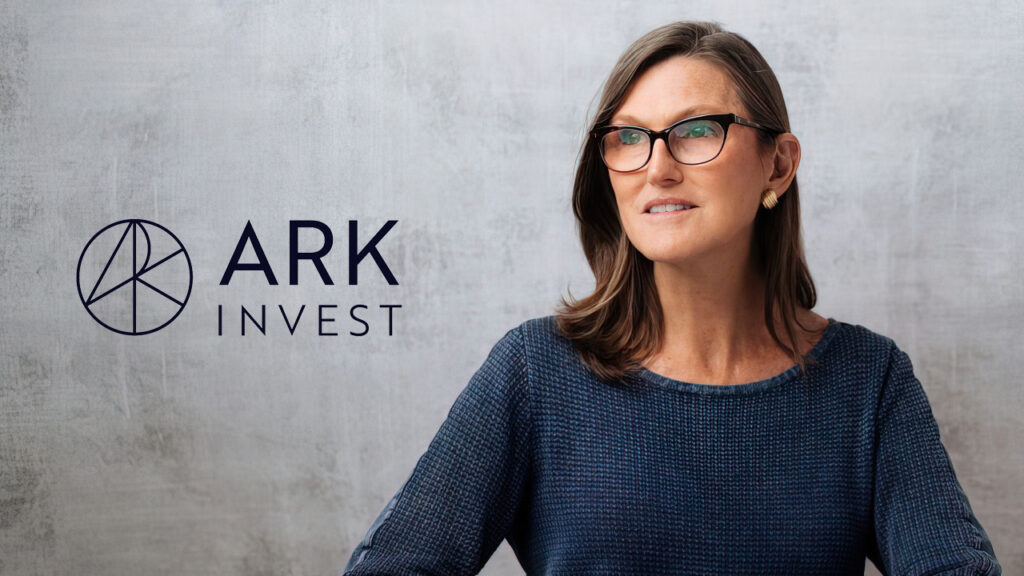 Cathie Wood - CEO Ark Investment